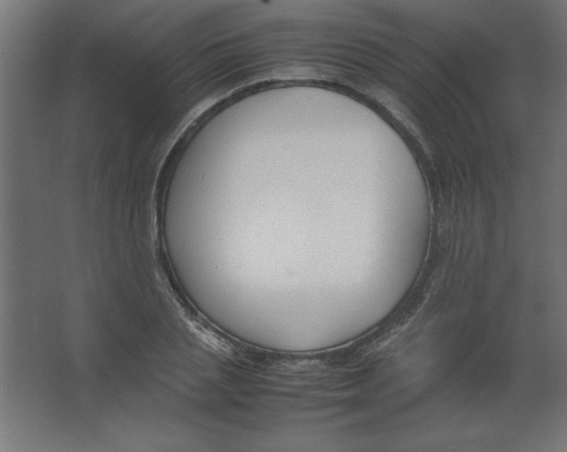 X0000067340837200604211933