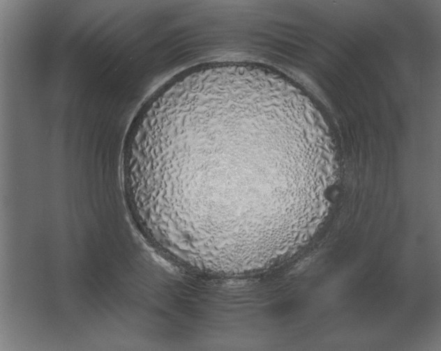 X0000067340839200604211933