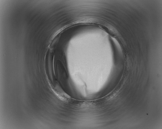 X0000067340842200604211933