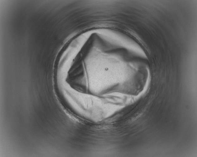 X0000067340853200604211934