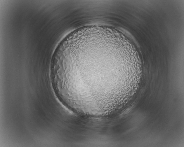 X0000067340855200604211934