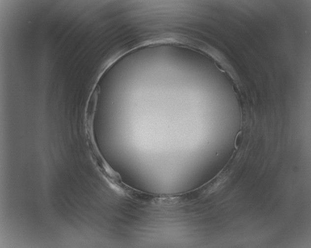 X0000067340858200604211934
