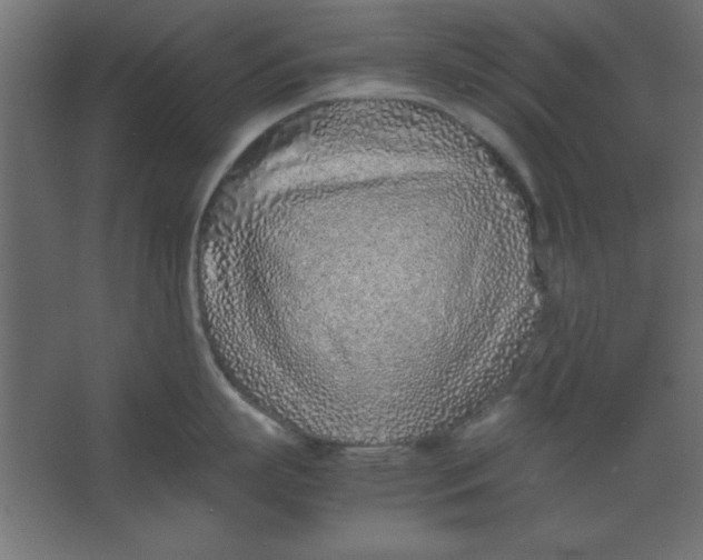 X0000067340863200604211934