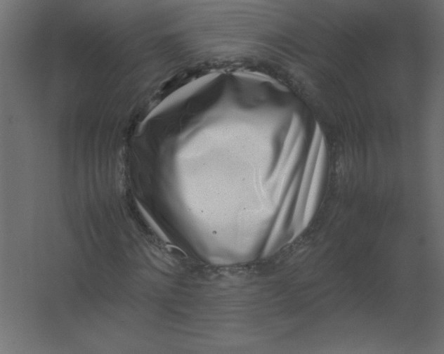 X0000067340868200604211933