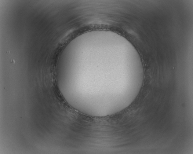 X0000067340870200604211933