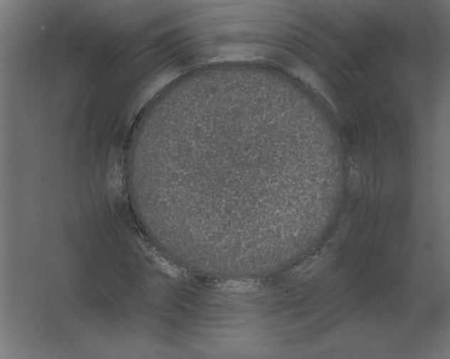 X0000067340874200604211933