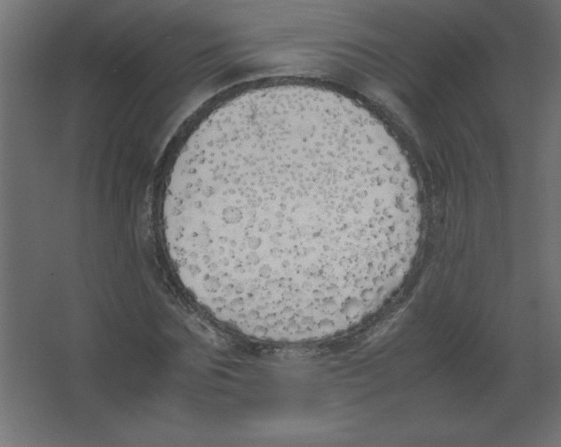 X0000067340875200604211933