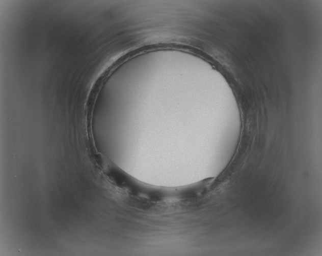 X0000067340877200604211933