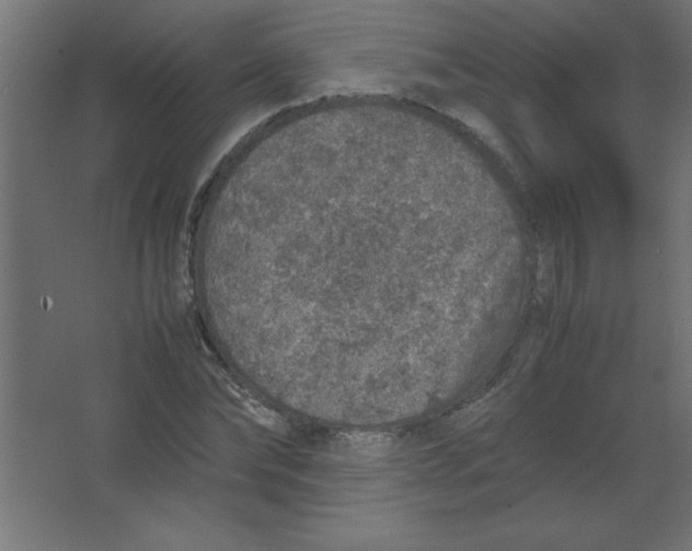 X0000067340878200604211933
