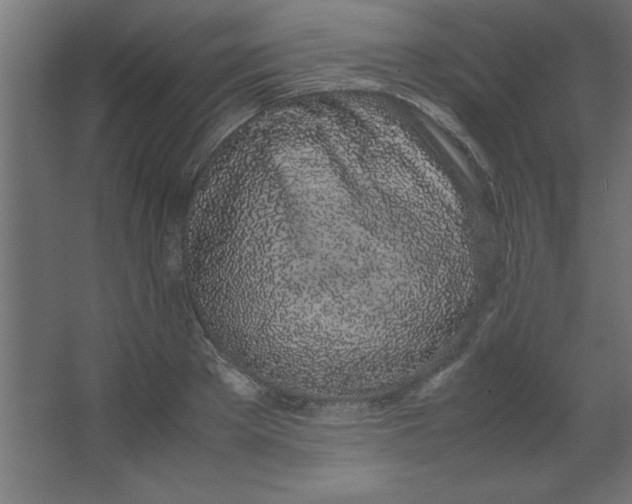 X0000067340889200604211933