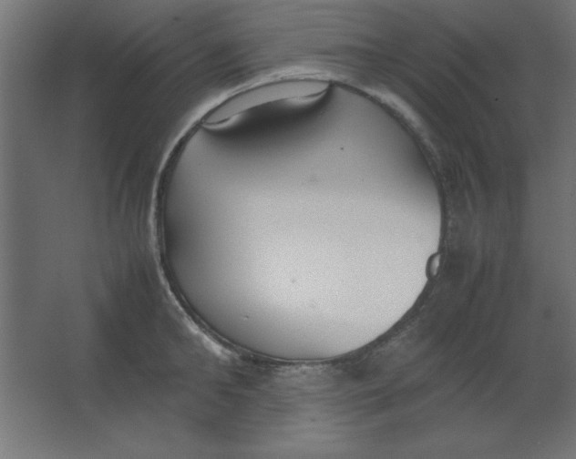 X0000067340902200604211932