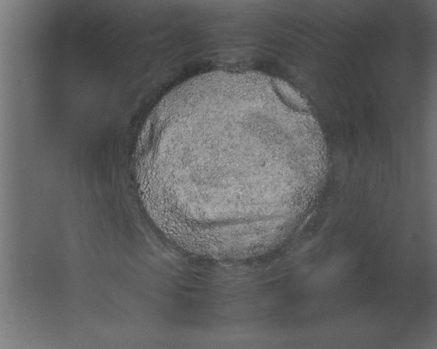 X0000067340913200604211931