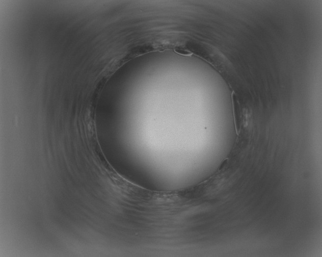 X0000067340915200604211931
