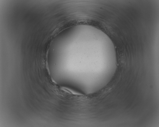 X0000067340916200604211931