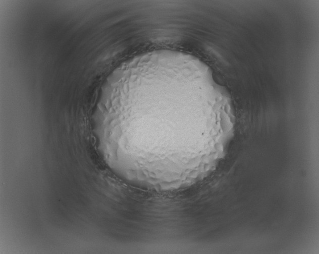 X0000067340917200604211931