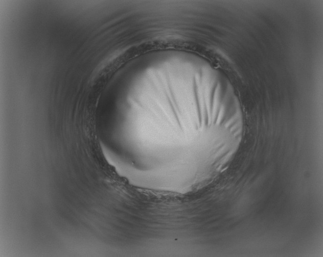 X0000067340919200604211931
