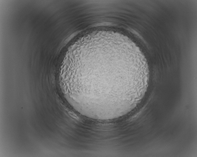 X0000067340921200604211932