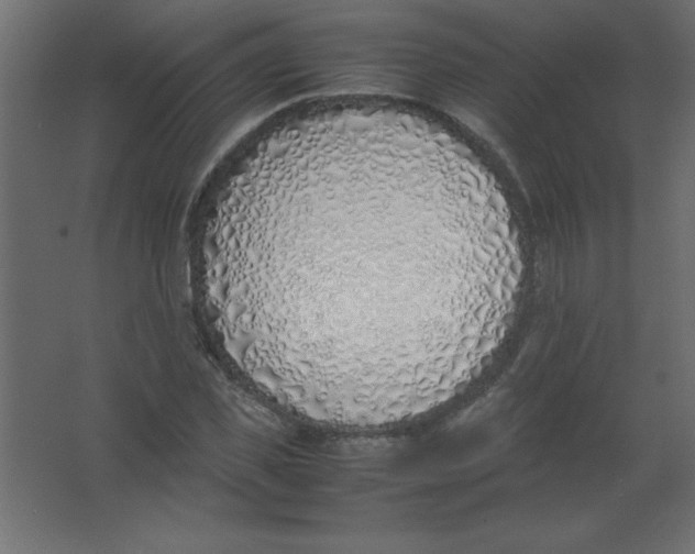 X0000067340925200604211932