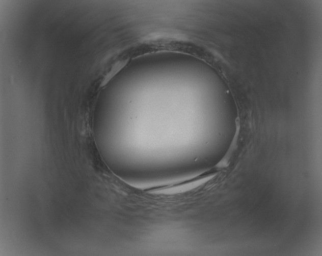X0000067340965200604211931