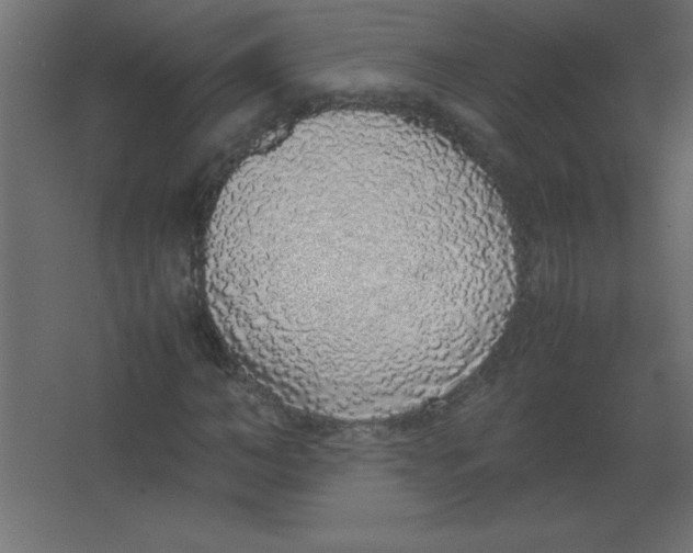 X0000067340966200604211931