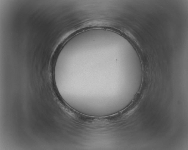 X0000067340981200604211931