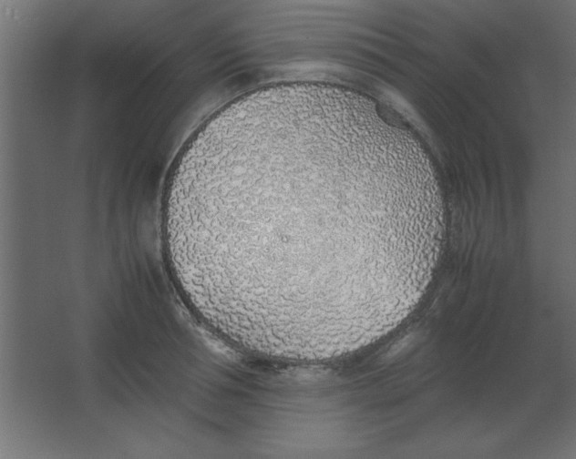 X0000067340994200604211931