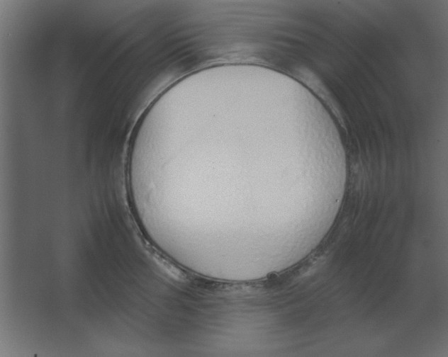 X0000067341002200604211931