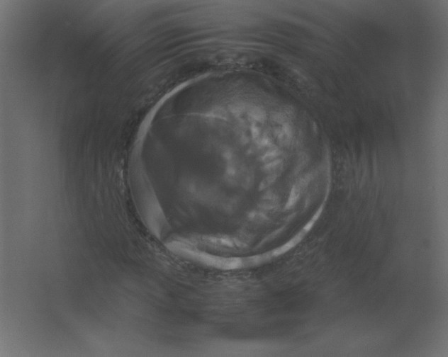 X0000067341013200604211930