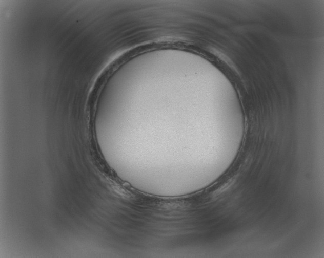 X0000067341021200604211930