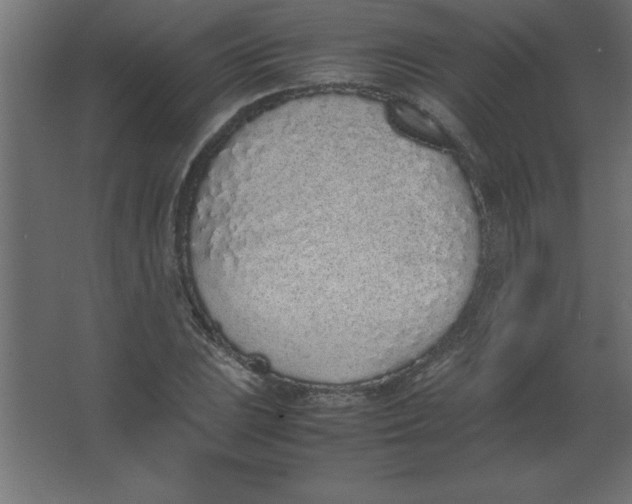 X0000067341023200604211930