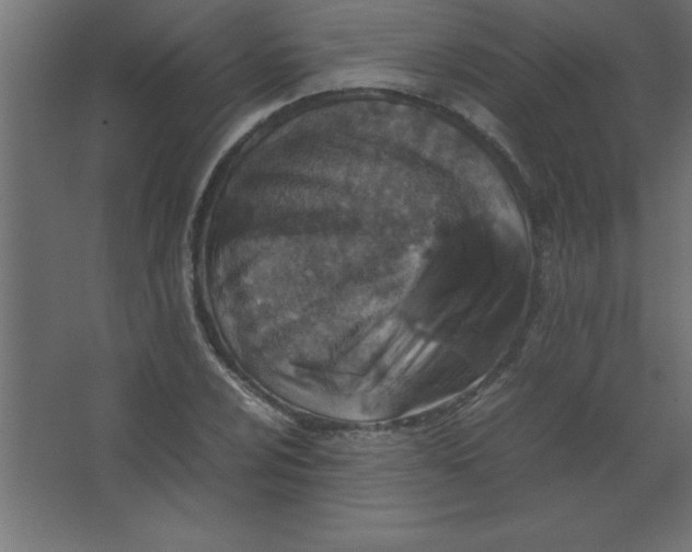 X0000067341024200604211930
