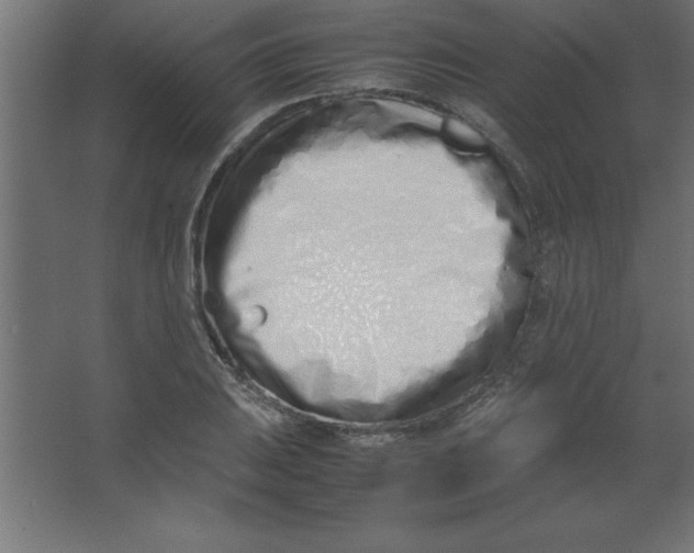 X0000067341031200604211930