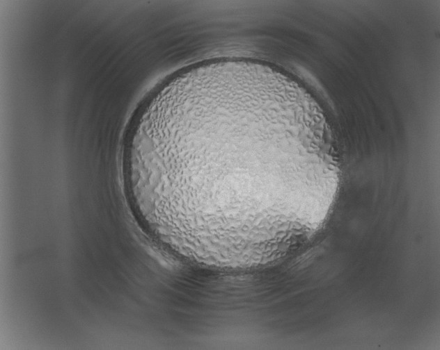 X0000067341035200604211930