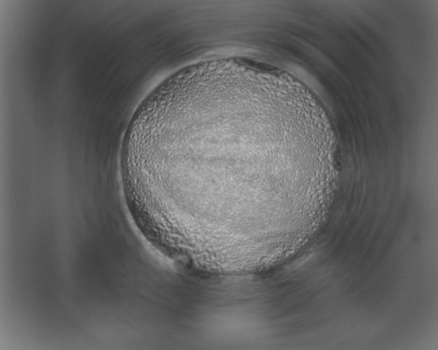 X0000067341055200604211931