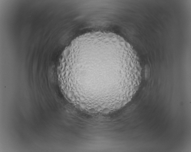 X0000067341059200604211930