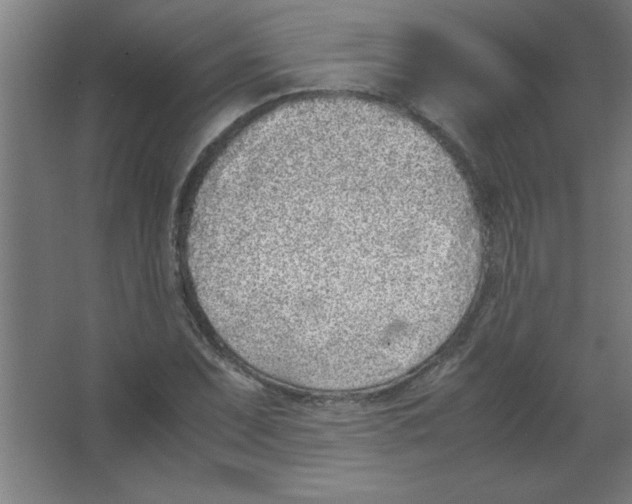 X0000067341071200604211929