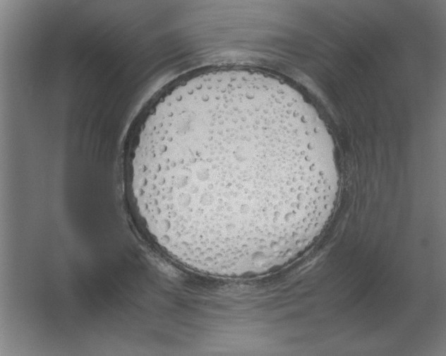 X0000067341075200604211929