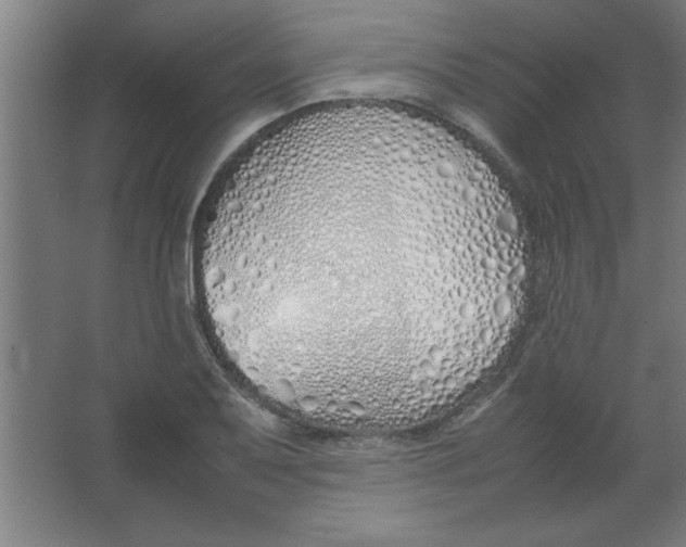 X0000067341079200604211929