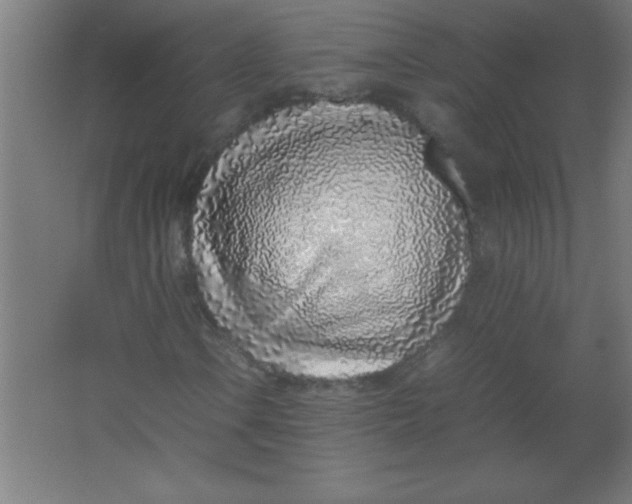 X0000067341106200604211928