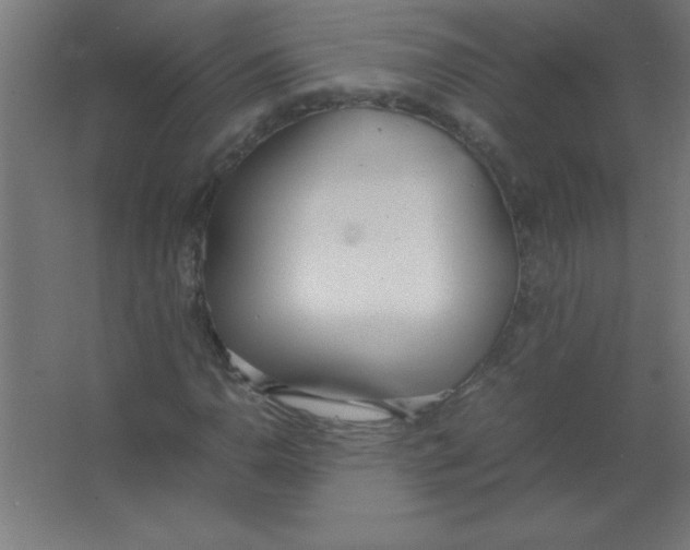 X0000067341110200604211928