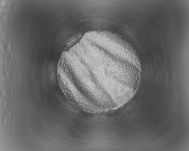 X0000067341154200604211928