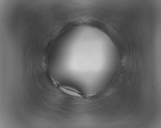 X0000067341156200604211928