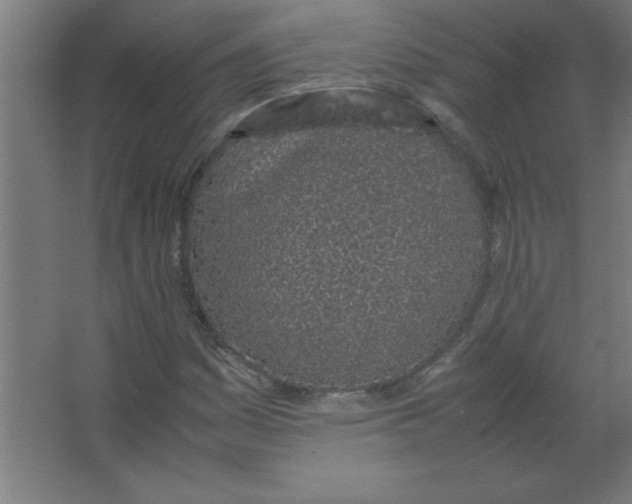 X0000067341161200604211928