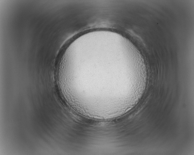 X0000067341166200604211928
