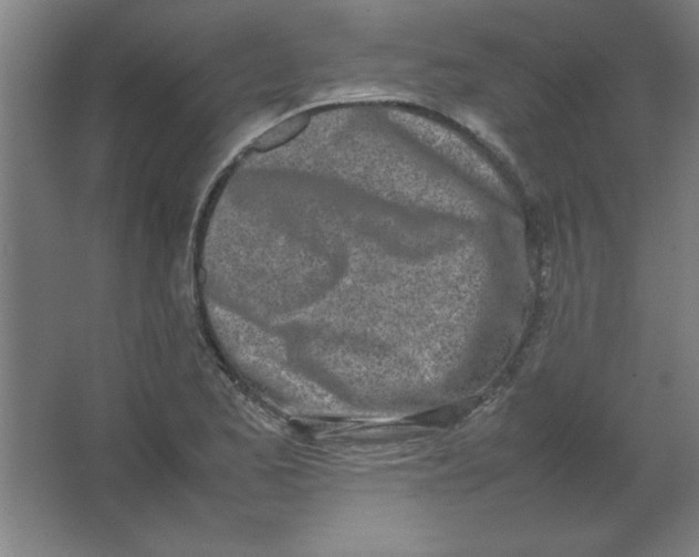 X0000067341173200604211928