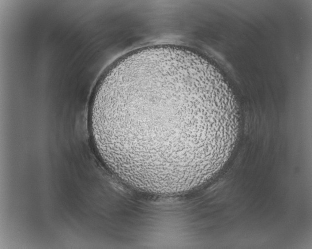 X0000067341174200604211928