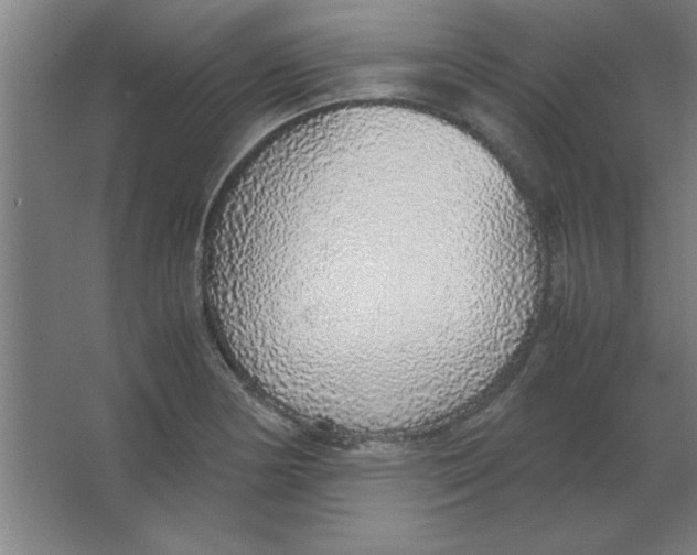 X0000067341178200604211928