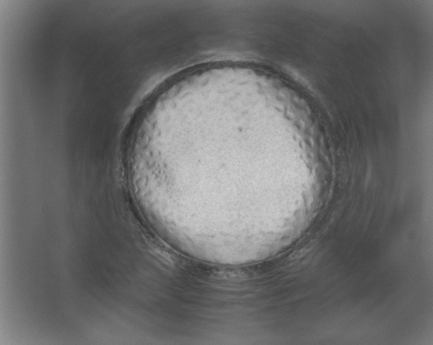 X0000067341215200604211927