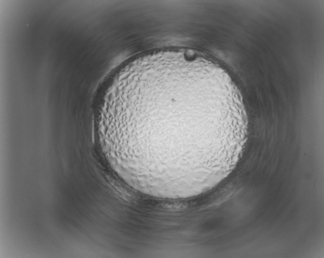 X0000067341219200604211927