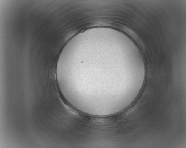 X0000067341241200604211927